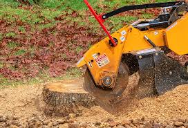 Best Seasonal Cleanup (Spring/Fall)  in Mission Bend, TX